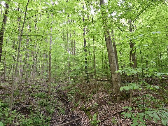 2nd image of 8060 County Road 49 #C