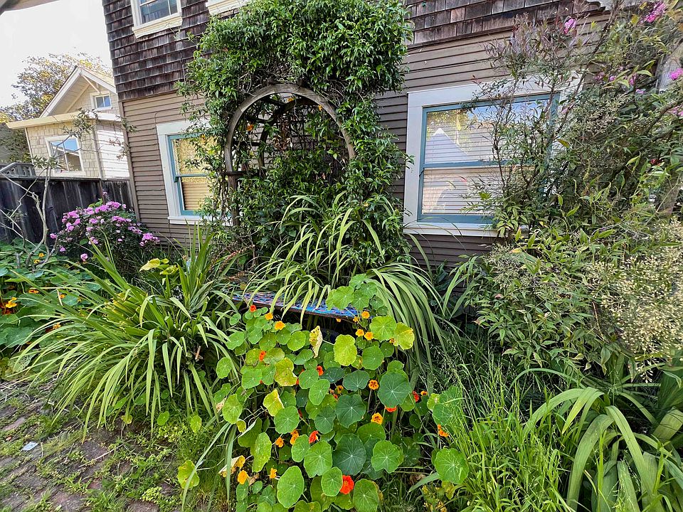 windows to the two bedrooms, seen from shared garden