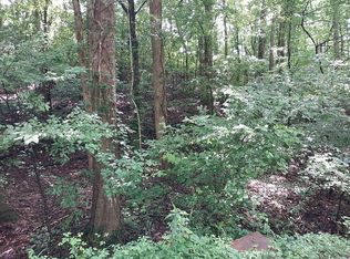 Fox Hollow Rd, Dahlonega, GA 30533