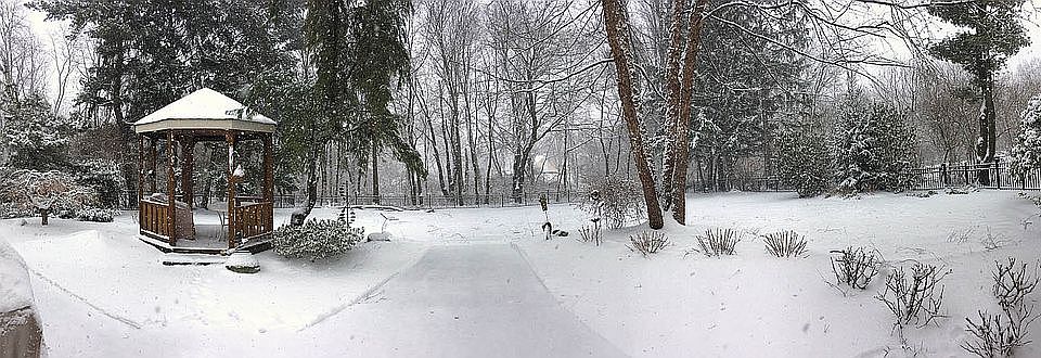 Back yard in winter