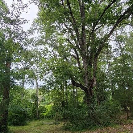 5th image of LOT 4 Magnolia Dr