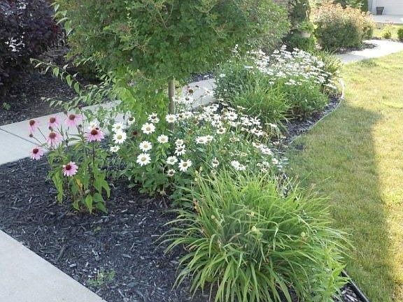 2nd image of 6082 Valerian Ct