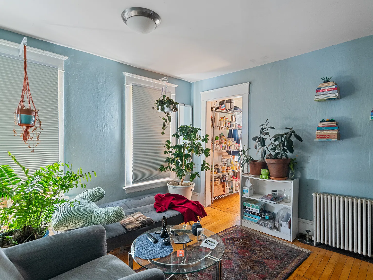 3 bed, 800 sqft, $2,100 — Photo 4