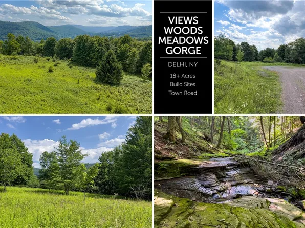 LOT 23 Lynch Rd, Delhi, NY 13753