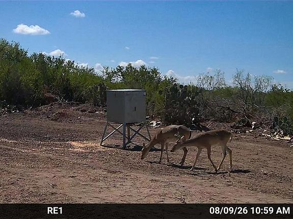 4th image of Fm 2687