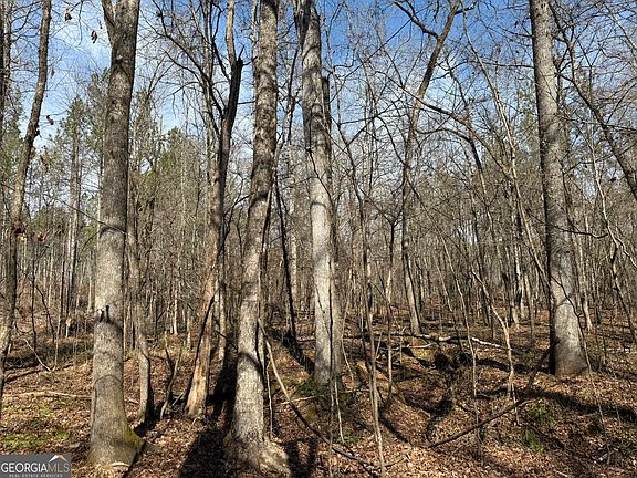 4th image of 1 Allen Rd