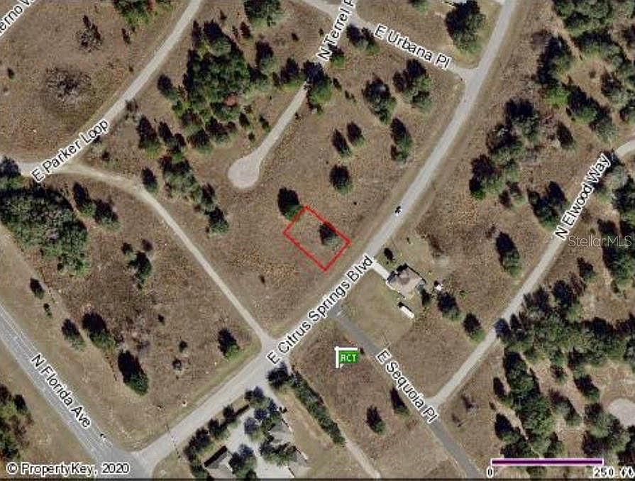 2nd image of 145 E Citrus Springs Blvd