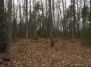 Tbd Brushy Mountain Rd, Bland, VA 24315