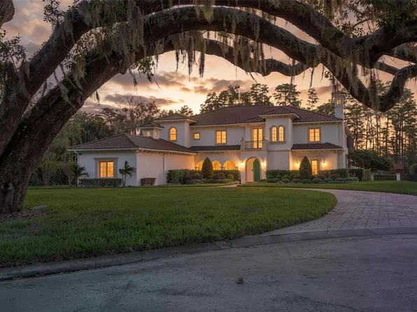 16203 SENTRY WOODS COURT, ODESSA, FL 33556
