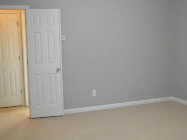 285 Snowgoose Ct — Photo 10