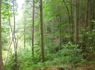 Restoration Way, Newland, NC 28657