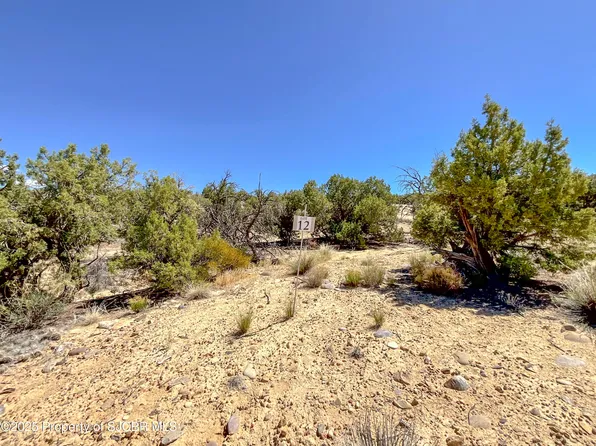 1530 Vista Hermosa Trl, Farmington, NM 87401