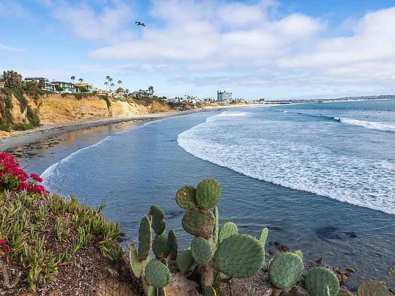 North Bird Rock Beach - 7 minute walk (.3 miles) View of Pacific Beach Pier