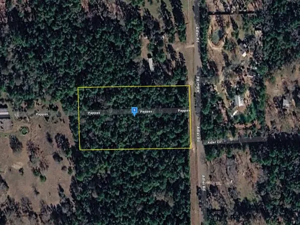 17050 Adler Rd, Waller, TX 77484