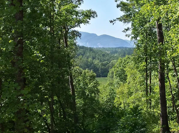 3 Cross Creek Trl, Mill Spring, NC 28756