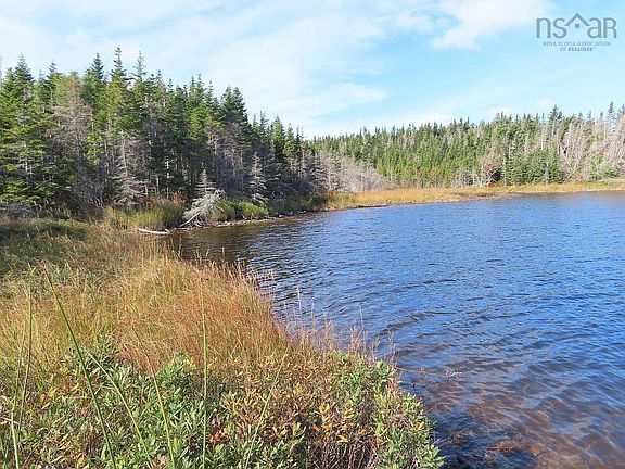 5th image of 31 Belfry Lake Rd