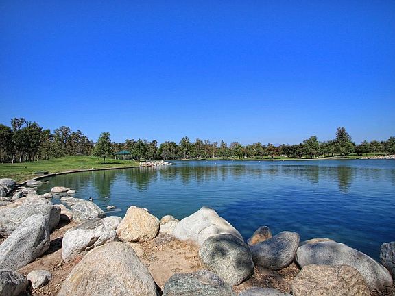 Take a Walk around the Lake