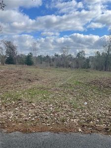 Herring Rd Lot 4, Boyce, LA, 71409
