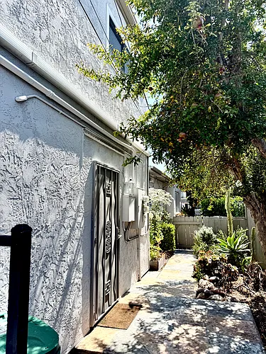 3954 Albatross St Photo 1