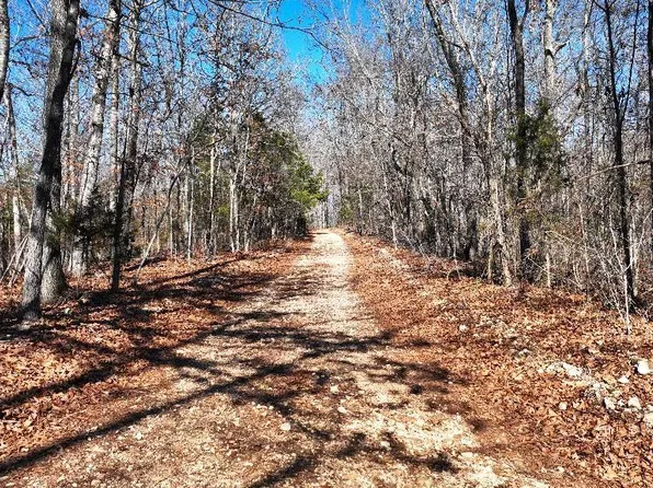 0 Grandpa Jones Rd, Mountain View, AR 72560