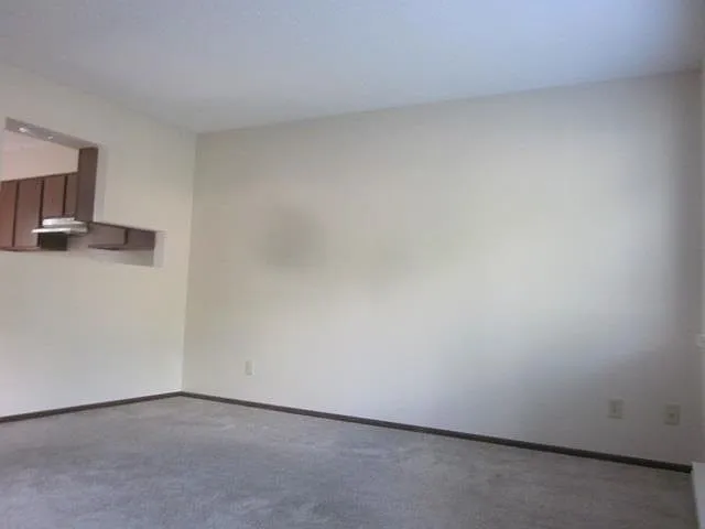 2 bed, 1.5 bath, 900 sqft, $1,250 — Photo 4