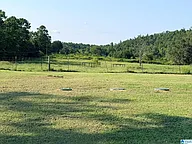 636 Websters Rd, Wellington, AL 36279 — photo 2