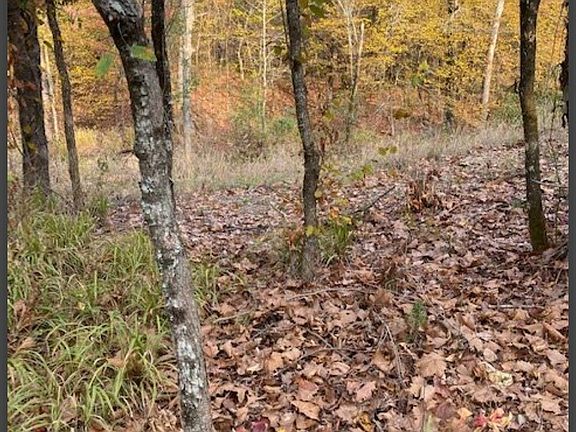 4th image of 1 Hidden Pines Loop