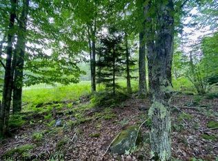 33 Canal St, Davis, WV 26260