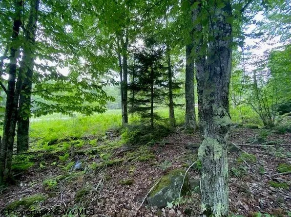 33 Canal St, Davis, WV 26260