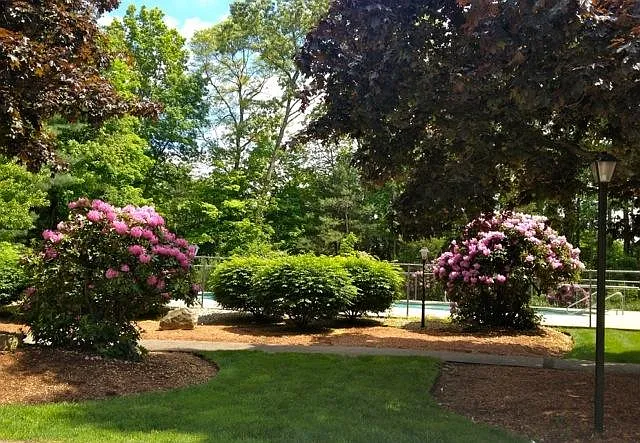 Grounds