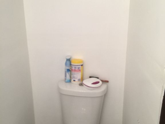 Lower Level Half Bathroom