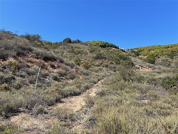 5th image of 16 Pampas Rd #4