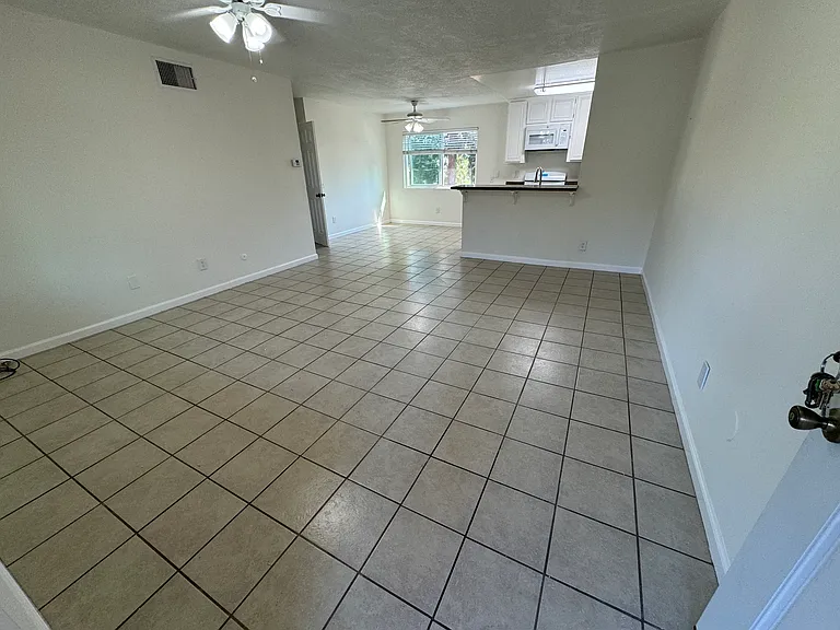 Entrance into the Living Room