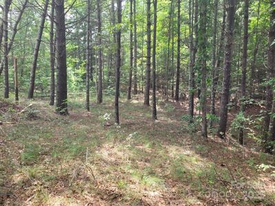 278 Scenic Vista Dr, Nebo, NC, 28761