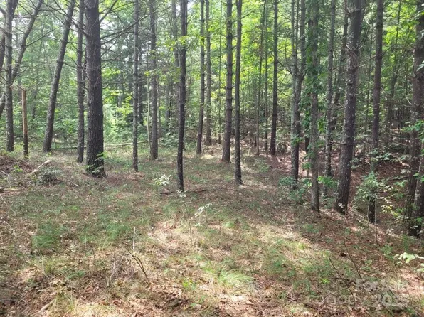 278 Scenic Vista Dr, Nebo, NC 28761