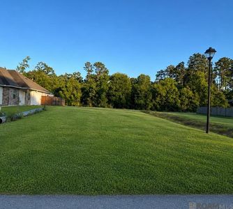 17832 H S Brignac Dr, French Settlement, LA, 70733