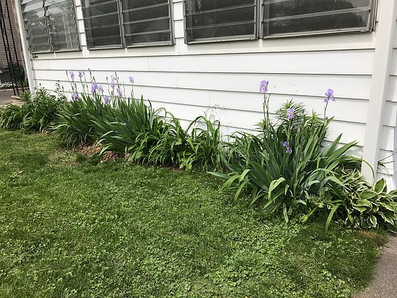 Front Yard Flowers