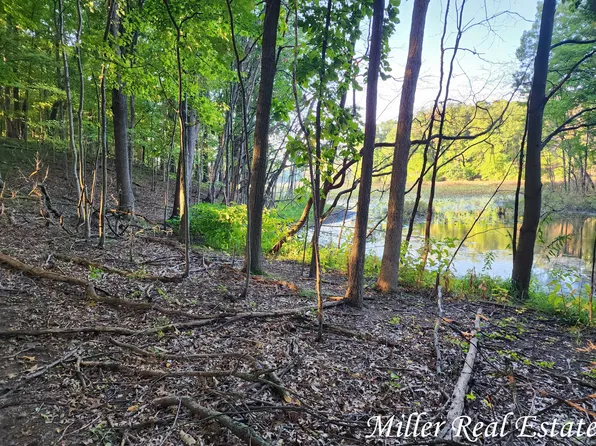 PARCEL 1 Herbert Rd, Delton, MI 49046