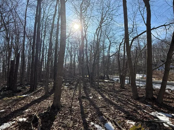 804 Selig Rd, Pocono Lake, PA 18347