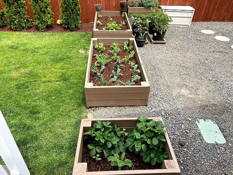 Garden beds