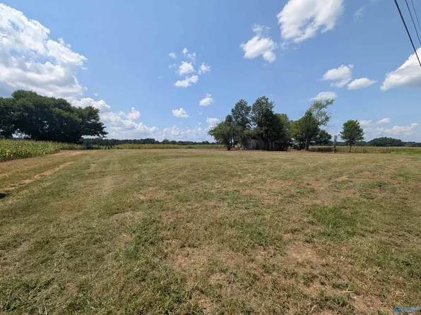 386 Morris Rd, Toney, AL 35773