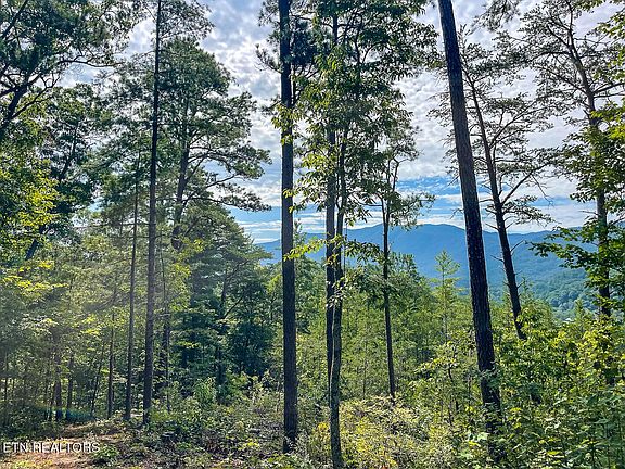 4th image of 849 Hawk View Rd Lot 12