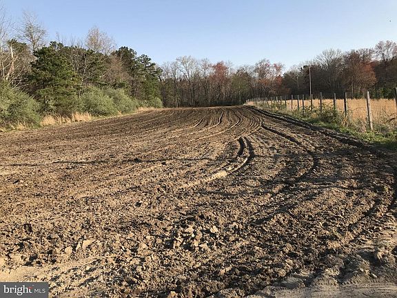 4th image of Route 206 & Forked Neck Rd
