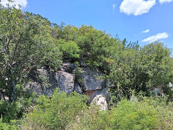5th image of 10150 County Road 650 #27