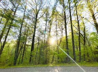 LT Graham Ct, Ellijay, GA 30540