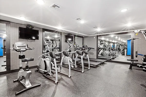 Rented by Douglas Elliman | media 15