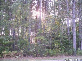 1111 Artz Rd, Castorland, NY 13620