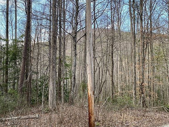 4th image of 0 Carringer Rd #1-15