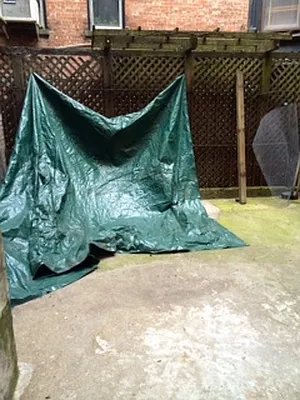 Rented by Citi Habitats | media 11