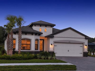 11328 Weaver Hollow Rd, New Port Richey, FL, 34654